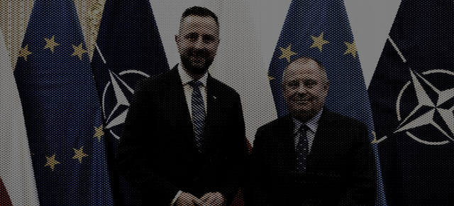 Jak wysterylizować kota, czyli dlaczego władzom tak zależy na decorum